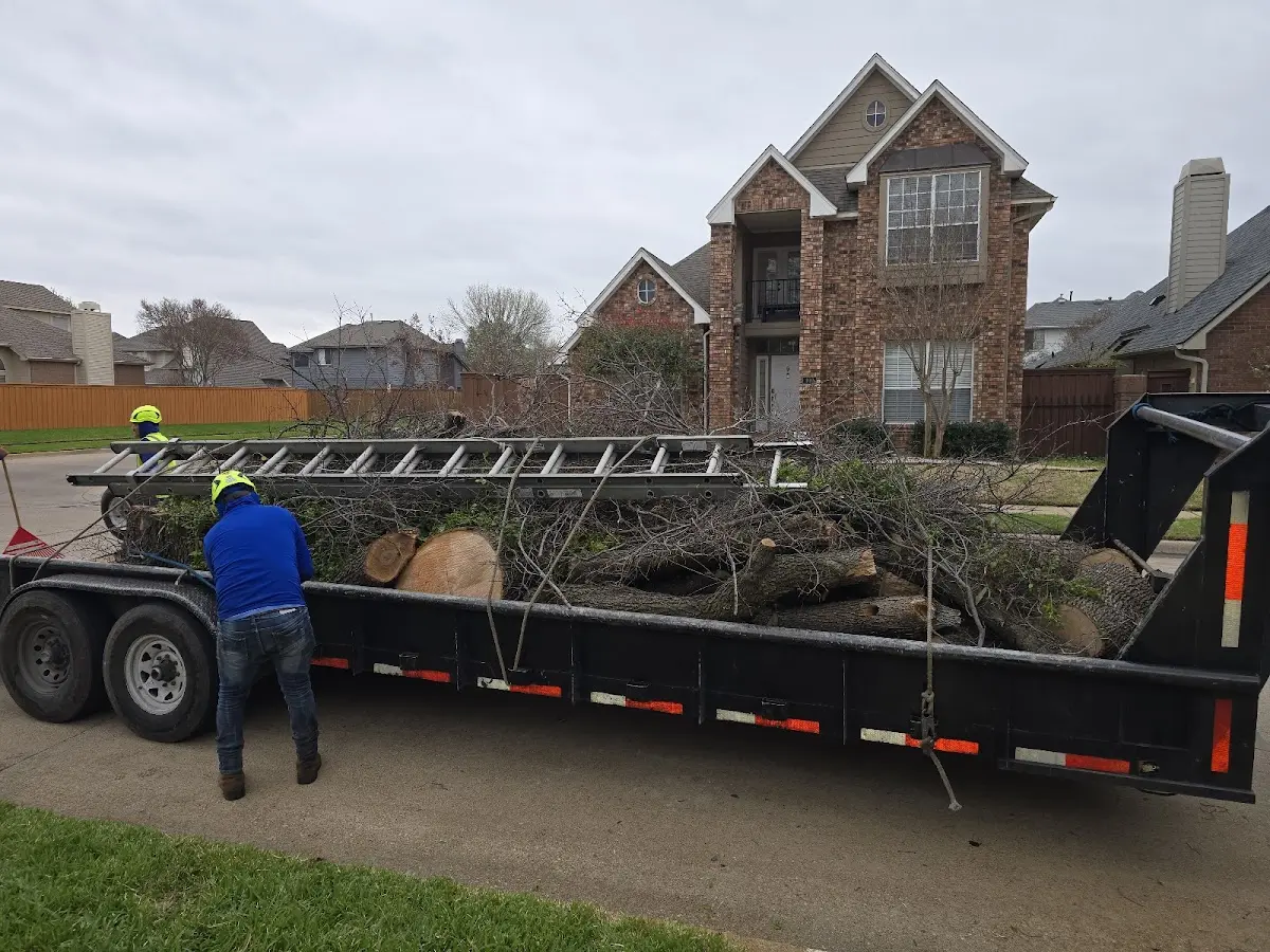 Expert Lot Clearing with proper safety equipment in Delcambre